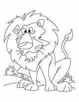 Lion Coloring Pages Angry Lioness Mouse Mountain Drawing Tiger Printable Daniel Color Cub Getdrawings King Getcolorings Kids sketch template
