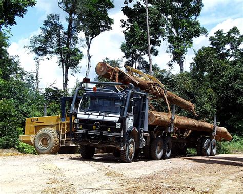 logging truck log loader loading logs    truck indon flickr