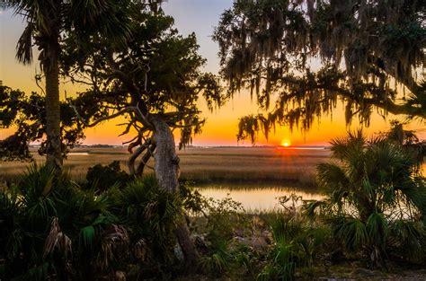 cumberland island  dont   choose  roughing   pampering