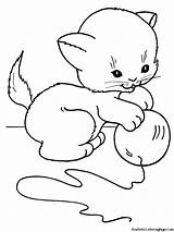 Coloring Pages Realistic Cats Playing Cat sketch template