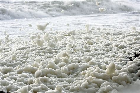 sea foam   permuted