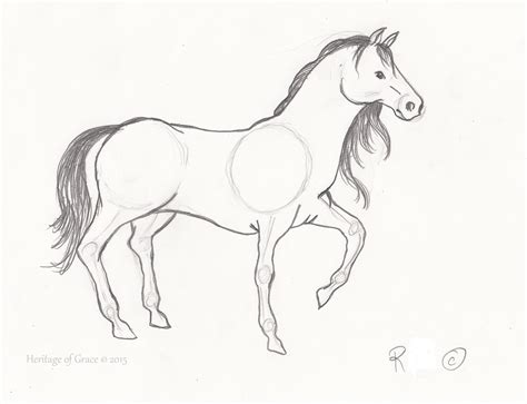 horse easy drawing  getdrawings