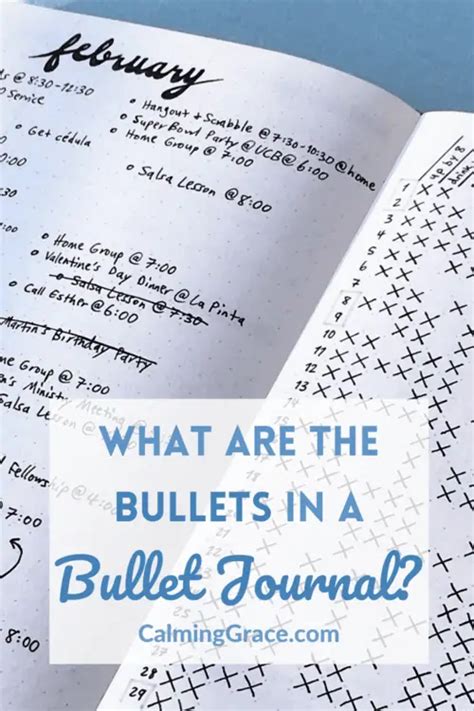 bullets   bullet journal