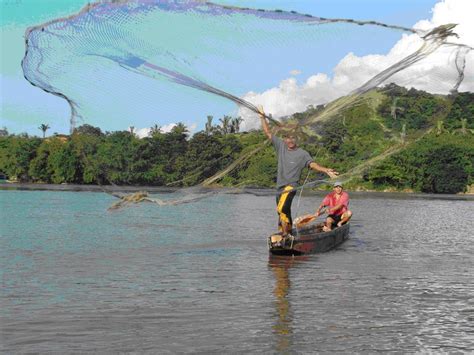 controlan actos de pesca ilegal en santander