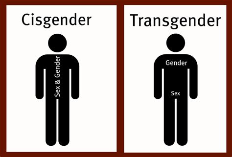 stand by your trans supporting a partner in transition what is