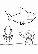 Hai Haifisch Ausmalbild Malvorlage Ausdrucken Malvorlagen Familie Kostenlos Besten Schule Th7 sketch template