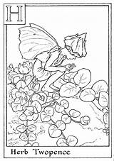 Coloring Pages Fairy Alphabet Flower Fairies Printable Letter Cereal Herb Colouring Rocks Twopence Print Gif Plates Pan Peter Adult Color sketch template