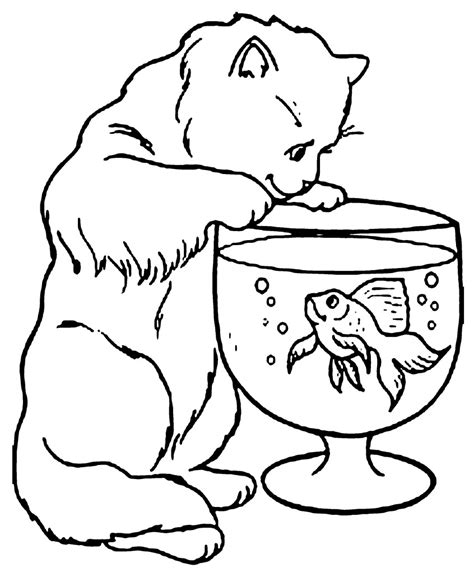 cat coloring page pictures animal place