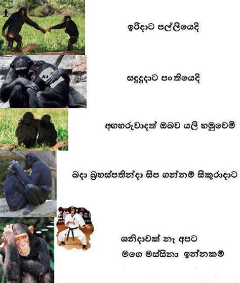 Sinhala Funny Image For Iradata Palliye Song Sri Lanka
