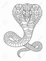 Stress Serpente Boek Kleurende Illustratie Livro Snake sketch template