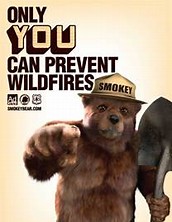 Image result for smoky the bear pics