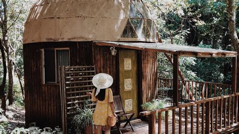 werelds populairste airbnb  deze hut  een bos