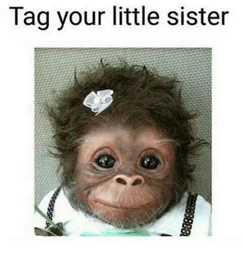 Tag Your Little Sister Meme On Me Me