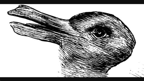 picture       ways  bird   rabbit