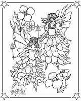 Fairies Coloring Pages F70 sketch template