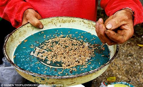 U S Woman Forced To Eat Maggots While Locked Up In Thai