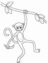 Monkey Swinging Coloring Tree Pages Branch Monkeys Kids Getcolorings Color Trees Print sketch template