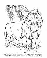 Lion Drawing Color Coloring Pages Medieval Male Paintingvalley Drawings Lions Getcolorings sketch template