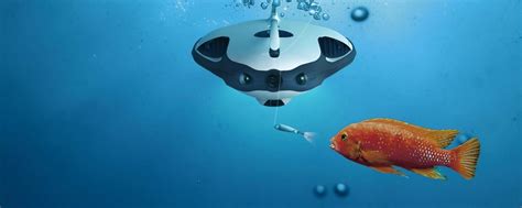 underwater drone  change  world  fishing underwater drone underwater fish