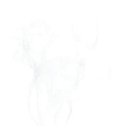 clear png png image  transparent background toppng
