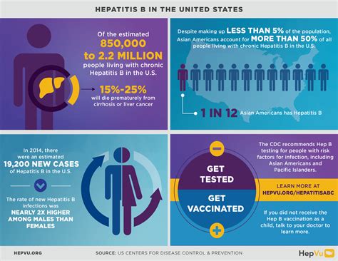 hepvu hepatitis b aidsvu