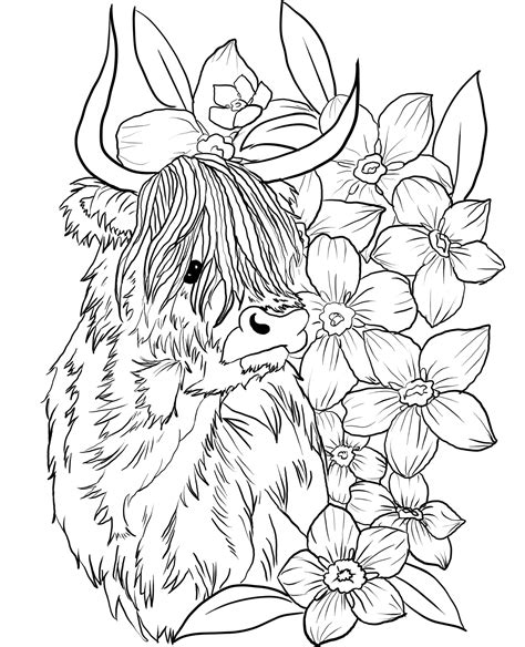 highland  downloadable coloring page etsy