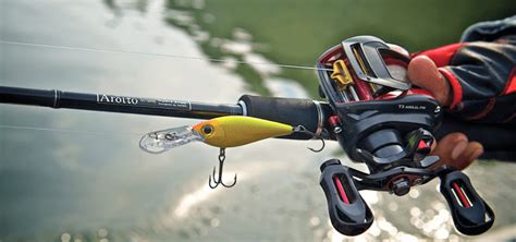 baitcaster combos  buyers guide catfish sutton