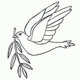 Peace Coloring Doves Popular Pages sketch template
