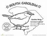 South Carolina Coloring State Bird Designlooter sketch template