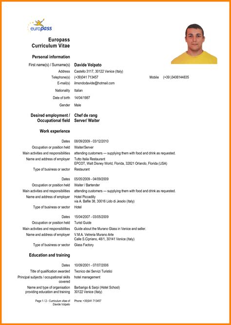 cv template europe cvtemplate europe template resume skills
