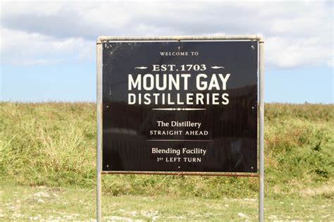 scenes from a voyage to barbados with mount gay the world s oldest rum brand