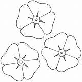 Poppy Coloring Printable Pages Flowers Template Remembrance Color Sheets Poppies Print Kids Drawing Flower Colouring Craft Small Printables Sheet Bigactivities sketch template