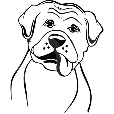 boxer dog coloring pages  kids  place  color dog coloring