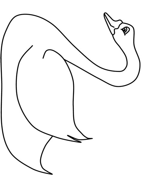 birds  animals coloring pages coloring book
