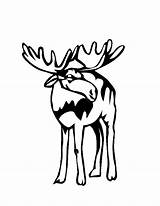 Coloring Moose Pages Printable Cliparts Clipart Number Kids 2769 Comments Library Favorites Add sketch template