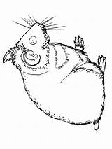 Hamster Coloring Pages Realistic Getcolorings Printable sketch template