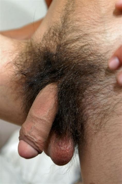 thick hairy cock