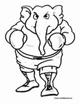 Boxing Coloring Ring Elephant Pages Template Colormegood Sports sketch template