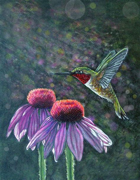 Hummingbird And Cone Flowers Digital Art By Diana Shively