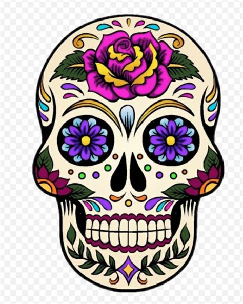 celebrate day   dead  creating   sugar skull picsart blog