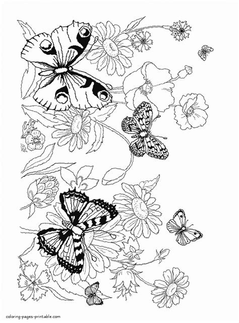 printable coloring pages  flowers  butterflies coloring pages