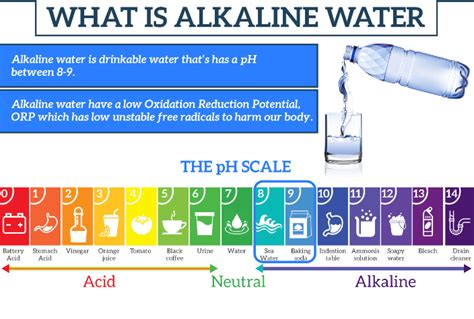 Alkaline Water Benefits Risks And How To Make Them [infographic]