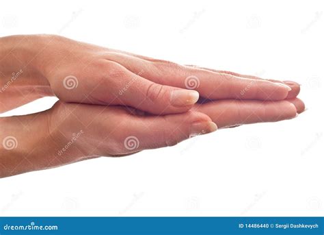 hands closed stock photo image  human hand symbol