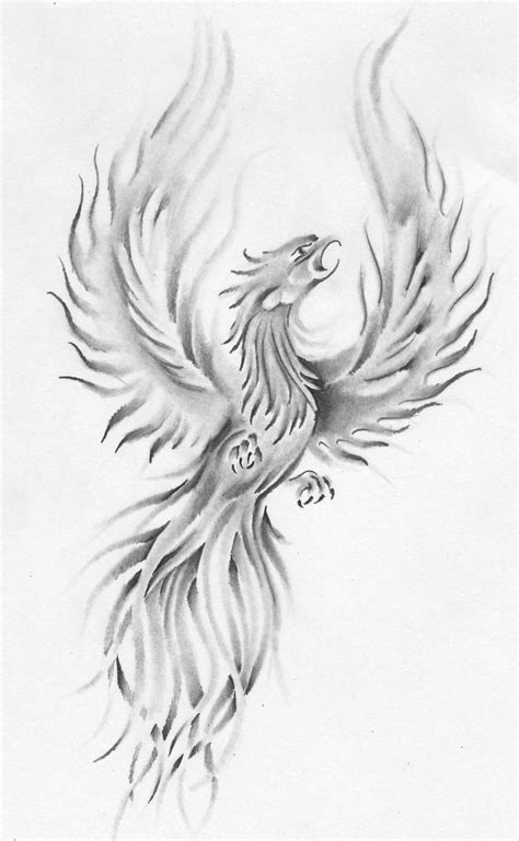 phoenix bird sketch drawing fomrad