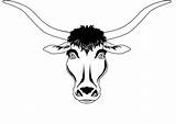 Longhorn Longhorns Printmania sketch template