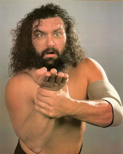 bruiser brody the official wrestling museum