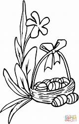 Easter Lily Coloring Pages Printable Drawing Clipart Color Version Click Lilies Basket Getdrawings Line Compatible Ipad Tablets Android Online Categories sketch template