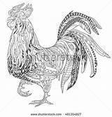 Coloring Pages Adult Rooster Color Drawing Book Ink Contour Painting Illustration Drawn Artwork Hand Choose Board Shutterstock Vector Find Stock sketch template