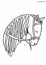 Pferd Kopf Schlafendes Pferde Tiere Ausmalbilder sketch template