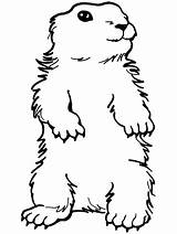 Groundhog Kolorowanki Druku Groundhogs Preschool Myszy sketch template